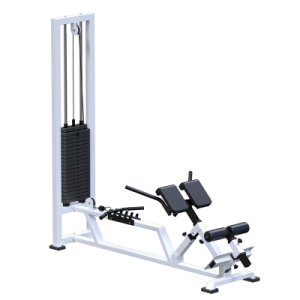 Профессиональный силовой тренажер Гиперэкстензия Sabirgym SG026.100 стек 100 кг swat - Спортивный тренажерный интернет магазин Кумитеспорт