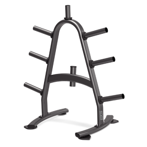 BRONZE GYM BR-1022 Стойка для дисков - Спортивный тренажерный интернет магазин Кумитеспорт