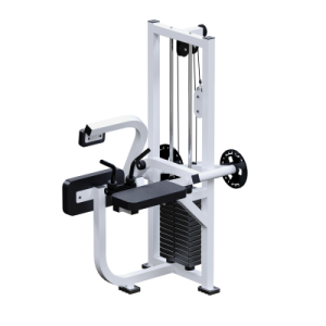 Силовой тренажер для инвалидов Бицепс +Трицепс + Пресс Sabirgym SGINVAR056 - Спортивный тренажерный интернет магазин Кумитеспорт