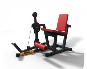 Разгибатель бедра BF218 proven quality - Спортивный тренажерный интернет магазин Кумитеспорт