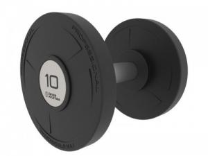 Гантель V-Sport ST555.10-P 10 кг - Спортивный тренажерный интернет магазин Кумитеспорт