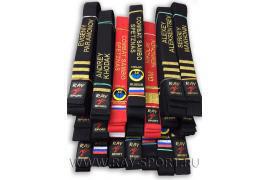 ПОЯС МАСТЕР ЭП1М - Спортивный тренажерный интернет магазин Кумитеспорт