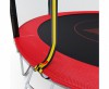 ����� � ������ DFC PELPO 10ft � ���������, RED GBT-10R proven quality - ���������� ����������� �������� ������� �����������