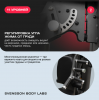 ������� �������� ���������������� SVENSSON BODY LABS RIGEL PRO ����������� - ���������� ����������� �������� ������� �����������