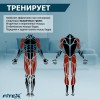 ���������� ������������ PREMIER PROF-M ����-���� ���������������� ����� �������� - ���������� ����������� �������� ������� �����������