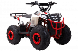  Wels  THUNDER EVO.M 110cc  s-dostavka -     