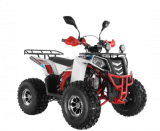  Wels ATV THUNDER EVO 125  s-dostavka   -     