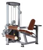    BRONZE GYM   D-013  -     