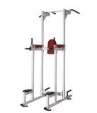    BRONZE GYM   H-027 -     