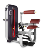   BRONZE GYM   MT-009 -     