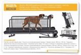   Fit Fur Life Medium      ! -     