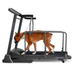   OXYGEN LAGUNA II DOGGIE EDITION     -     