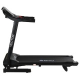   EVO FITNESS Vector II    -     