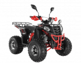  Wels ATV THUNDER EVO 125  s-dostavka  -     