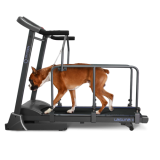   OXYGEN LAGUNA II ML DOGGIE EDITION  -     