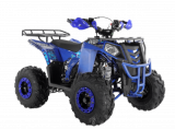  Wels ATV THUNDER EVO 125 s-dostavka  -     