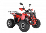  Wels ATV THUNDER EVO 125  s-dostavka  -     