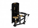    /TRICEPS PRESS MACHINE AK-007 -     