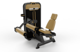   /SEATED LEG CURL BM-013 -     