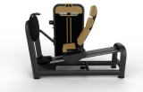    /LEG PRESS BM-015 -     