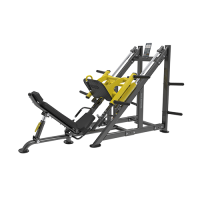 BRONZE GYM PL-1717     45  -     