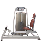 - BRONZE GYM   A9-017 -     