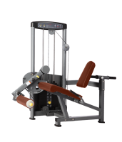    BRONZE GYM   D-014 -     