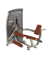    BRONZE GYM   E-013 -     