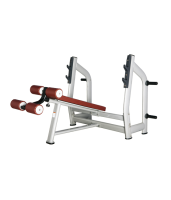       BRONZE GYM   H-024      -     