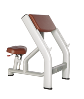   BRONZE GYM   H-040A -     