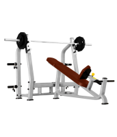       BRONZE GYM   J-025 -     