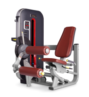    BRONZE GYM   MT-013  -     