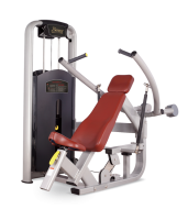    BRONZE GYM   MV-003 -     