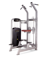     BRONZE GYM   MV-008  -     