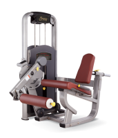    BRONZE GYM   MV-014 -     