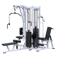 ���������������� ������� �������� ������������� ������� Sabirgym SG097�4�100 ����� 4�100 �� ironking - ���������� ����������� �������� ������� �����������