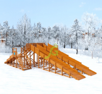 ������ ����� "IgraGrad Snow Fox", 4 ����� �������� - ���������� ����������� �������� ������� �����������