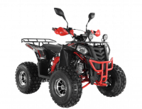  Wels ATV THUNDER EVO 125  s-dostavka  -     