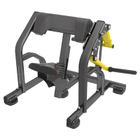 BRONZE GYM PL-1713 Бицепс - Спортивный тренажерный интернет магазин Кумитеспорт