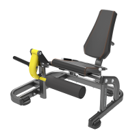 BRONZE GYM PL-1711    -     