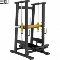 GLT PL76     bronze gym   vasil -     