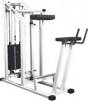     Vasil Gym .309 - ( ) -     