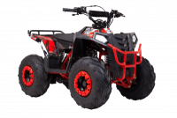  Wels  THUNDER EVO.M 110cc  s-dostavka -     