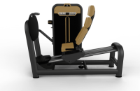    /LEG PRESS BM-015 -     