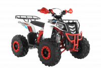  Wels ATV THUNDER EVO 125 s-dostavka  -     