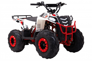  Wels  THUNDER EVO.M 110cc  s-dostavka -     