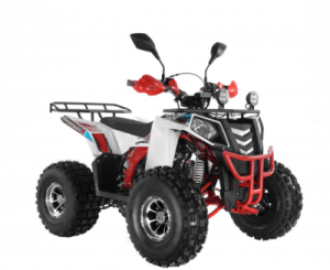  Wels ATV THUNDER EVO 125  s-dostavka   -     