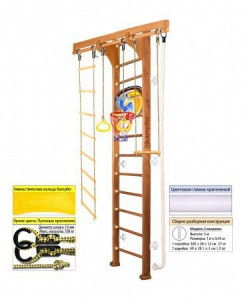 �������� ������ Kampfer Wooden Ladder Wall Basketball Shield s-dostavka - ���������� ����������� �������� ������� �����������
