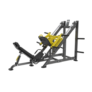 BRONZE GYM PL-1717     45  -     