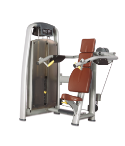 - BRONZE GYM   A9-003A -     